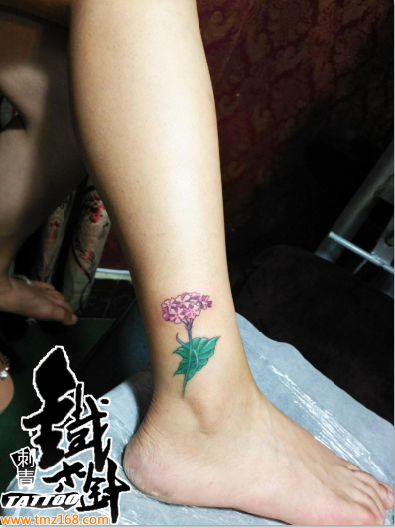 武汉纹身脚踝纹身花纹身彩色纹身